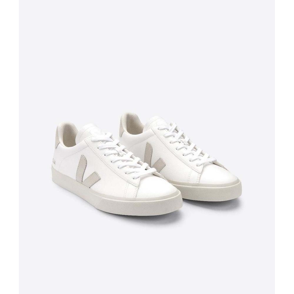 White/Beige Men's Veja CAMPO CHROMEFREE Low Tops Sneakers | AU 203KOR